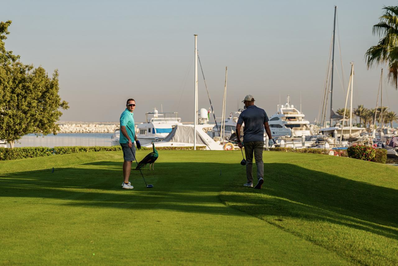 Golf tournament beside the Dubai marina